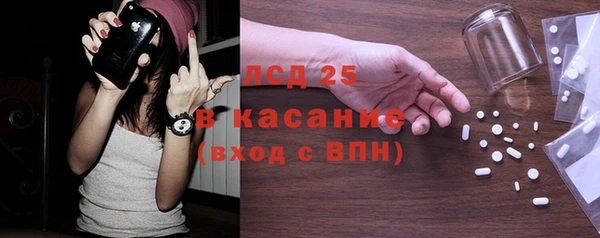 шишки Белоозёрский