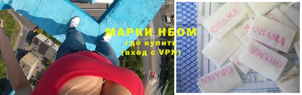 шишки Белоозёрский