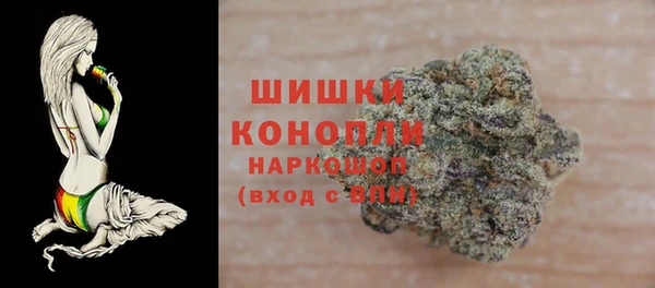 шишки Белоозёрский