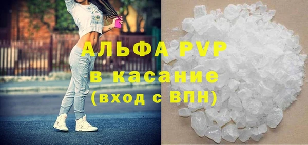 шишки Белоозёрский