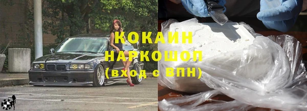 шишки Белоозёрский